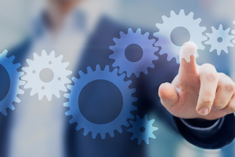 IT Project Consultancy